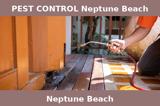 PEST CONTROL Neptune Beach